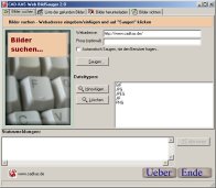 A screenshot of the program Web ImageGrabber 2.1 - Get all pics, mp3s...